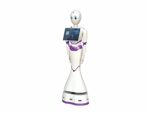 Robot hình người (Humanoid Robot)